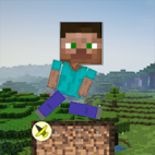 Minecraft Survival