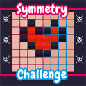 Symmetry Challenge