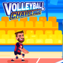 Volleyball Challenge